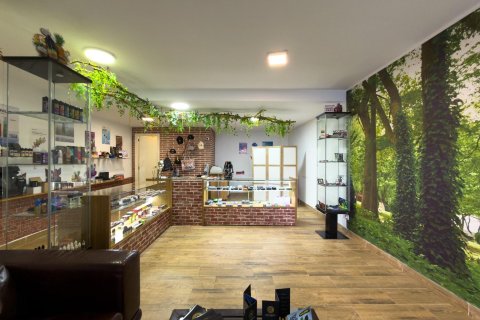 Commercial property for sale in San Martin de Valdeiglesias, Madrid, Spain 1 bedroom, 52 sq.m. No. 182879 - photo 3
