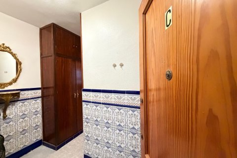 Apartament w Torrevieja, Alicante, Hiszpania 1 sypialnia, 44 mkw. nr 182876 – zdjęcie 3