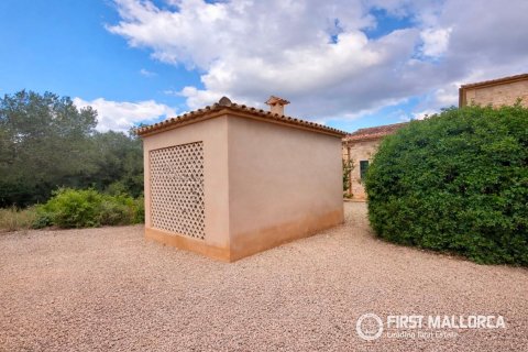 Finca for sale in Ses Salines, Mallorca, Spain 3 bedrooms, 475 sq.m. No. 182113 - photo 16