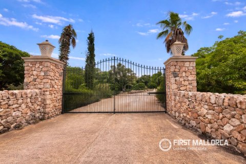 Finca for sale in Ses Salines, Mallorca, Spain 3 bedrooms, 475 sq.m. No. 182113 - photo 18