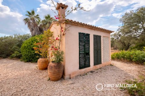 Finca for sale in Ses Salines, Mallorca, Spain 3 bedrooms, 475 sq.m. No. 182113 - photo 15