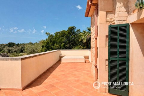 Finca for sale in Ses Salines, Mallorca, Spain 3 bedrooms, 475 sq.m. No. 182113 - photo 13