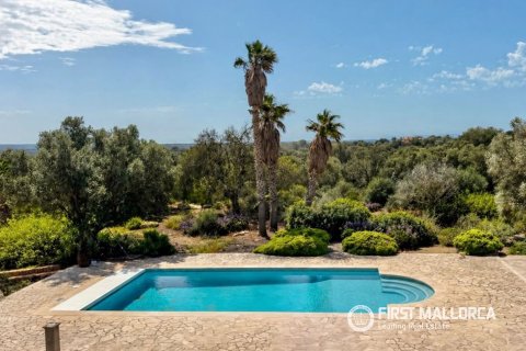 Finca for sale in Ses Salines, Mallorca, Spain 3 bedrooms, 475 sq.m. No. 182113 - photo 14