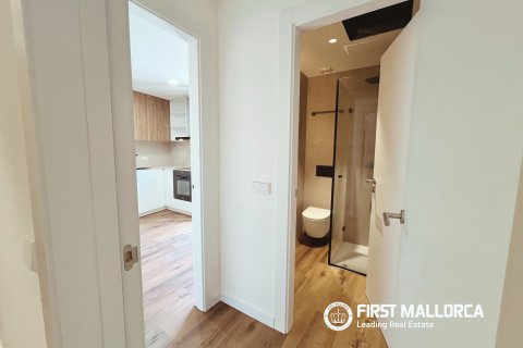 Penthauss īrēšanai Palma de Majorca, Mallorca, Spānijā 2 istabas, 175 m2 Nr. 182116 - attēls 10