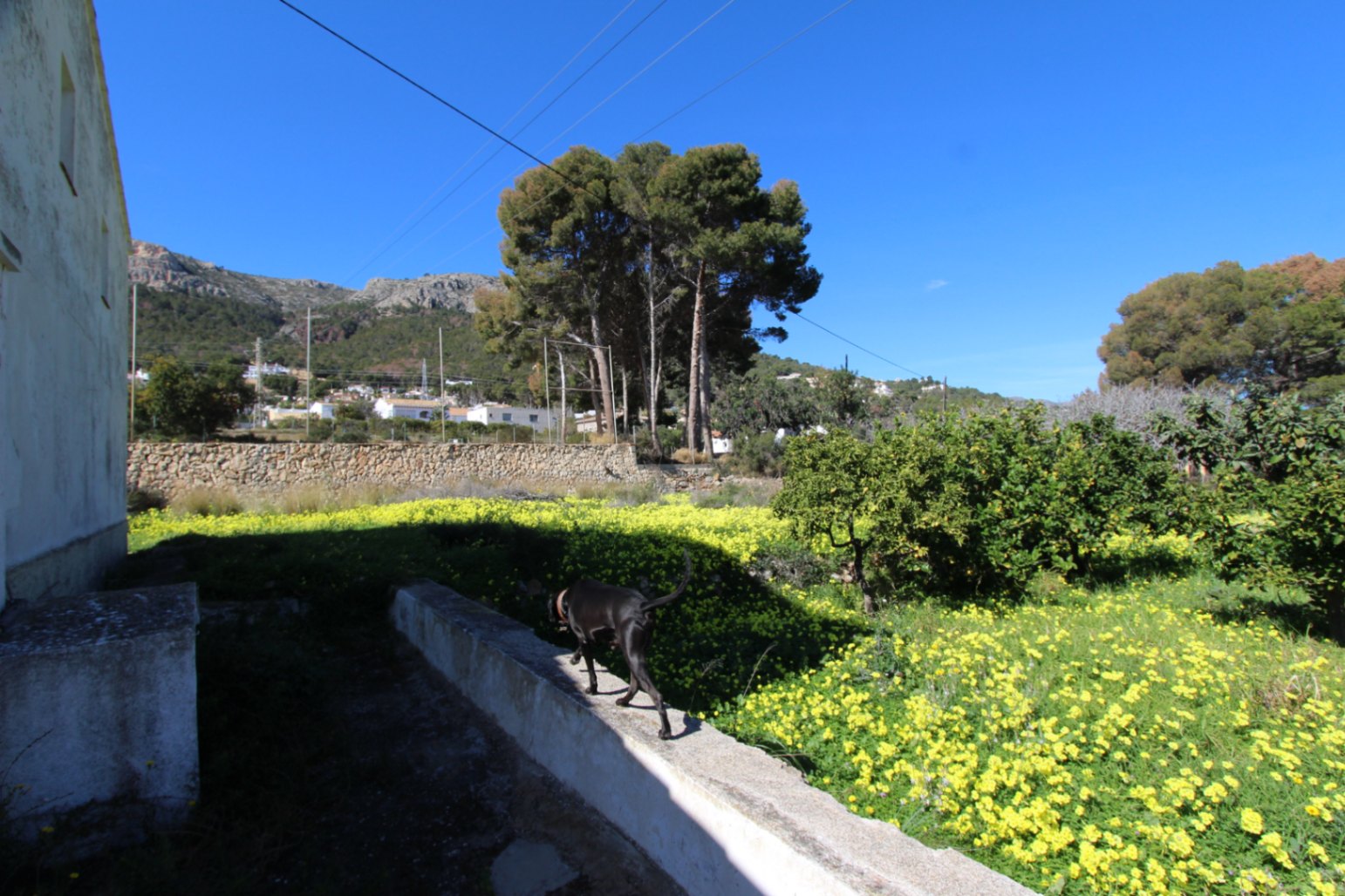 Villa i Calpe, Alicante, Spanien 4 sovrum, 104 kvm. Nr. 164698