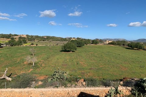 Finca för uthyrning i Manacor, Mallorca, Spanien 4 sovrum, 442 kvm. Nr. 164699 - foto 26