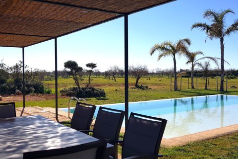 Finca för uthyrning i Campos, Mallorca, Spanien 6 sovrum, 385 kvm. Nr. 164700 - foto 10