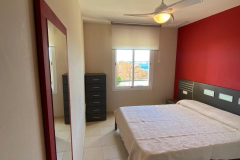 Apartment à louer à Maryvilla, Alicante, Espagne, 70 m2 No. 165970 - photo 6