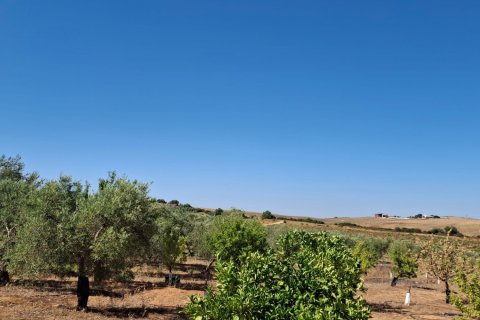 Terreno in vendita a Bornos, Cadiz, Spagna 31000 mq. N° 187881 - foto 8