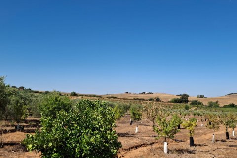 Terreno in vendita a Bornos, Cadiz, Spagna 31000 mq. N° 187881 - foto 7