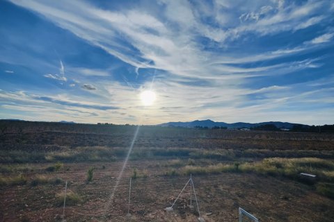 Villa for sale in Pinoso, Alicante, Spain 4 bedrooms, 220 sq.m. No. 143803 - photo 20