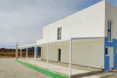 Villa for sale in Pinoso, Alicante, Spain 4 bedrooms, 220 sq.m. No. 143803 - photo 5