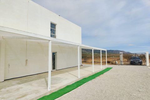 Villa for sale in Pinoso, Alicante, Spain 4 bedrooms, 220 sq.m. No. 143803 - photo 8