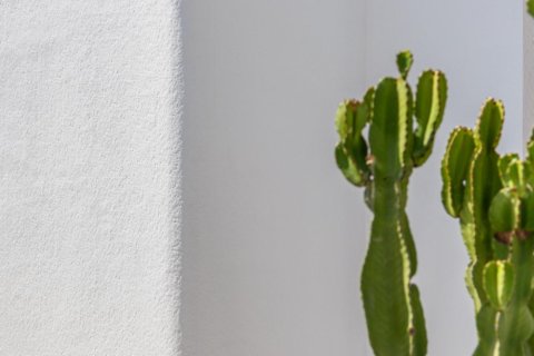 Villa for sale in Los Alcazares, Murcia, Spain 3 bedrooms, 117 sq.m. No. 165702 - photo 29