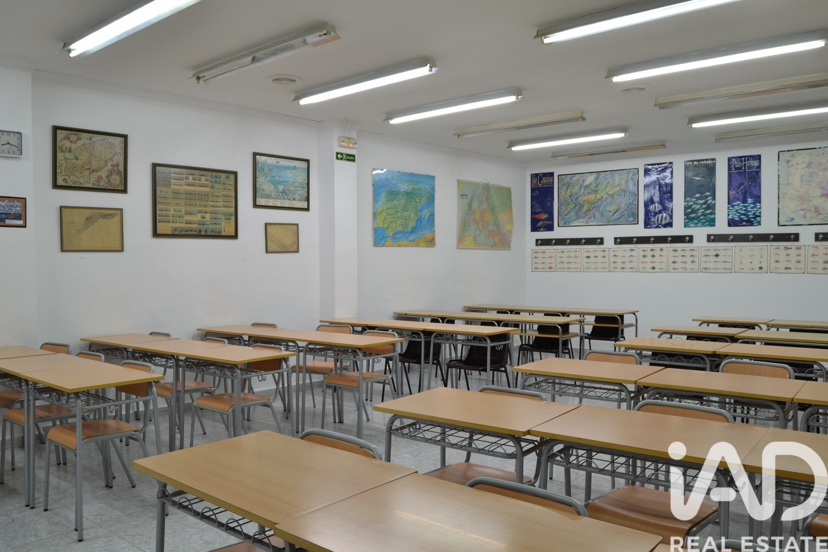 Коммерческая недвижимость в Кастельон-де-ла-Плана, Кастельон, Испания 4 спальни, 203м2 №185162