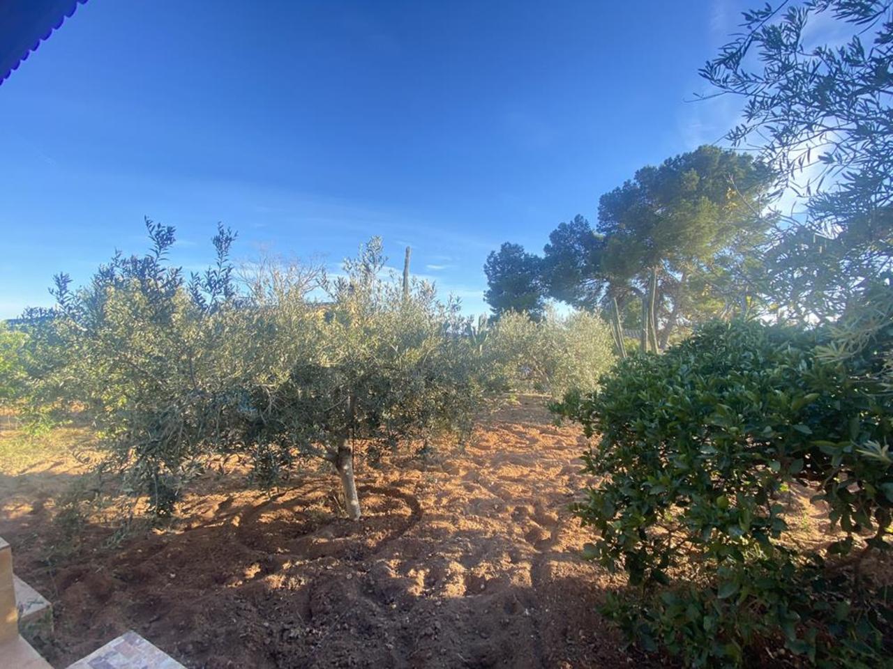 Huvila Gea Y Truyols, Murcia, Espanja 4 makuuhuonetta, 153 m2 No. 161536