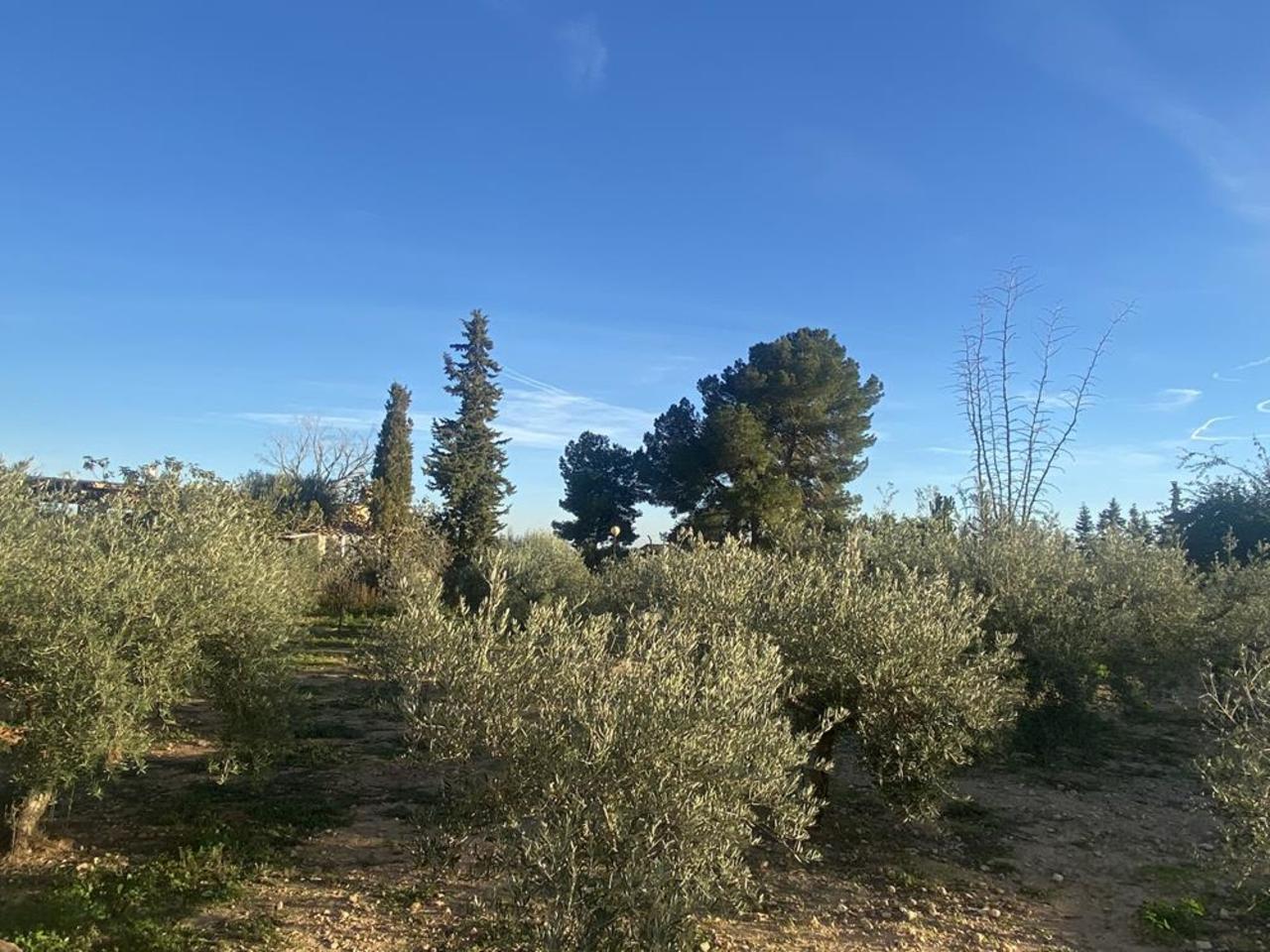 Huvila Gea Y Truyols, Murcia, Espanja 4 makuuhuonetta, 153 m2 No. 161536