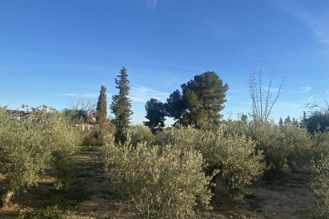 Villa en venta en Gea Y Truyols, Murcia, España 4 dormitorios, 153 m2 No. 161536 - foto 6