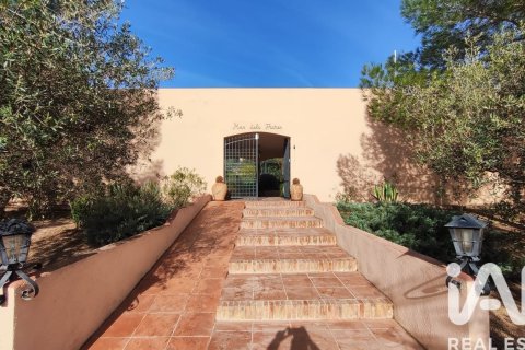 House zum Verkauf in El Molar, Tarragona, Spanien 15 Schlafzimmer, 3536 m2 Nr. 172826 - Foto 22