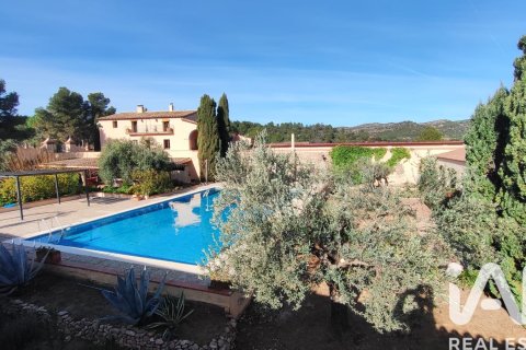 House zum Verkauf in El Molar, Tarragona, Spanien 15 Schlafzimmer, 3536 m2 Nr. 172826 - Foto 14