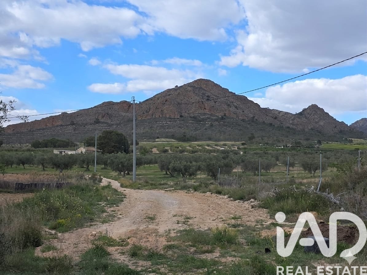 Сasa en Jumilla, Murcia, España 6 dormitorios, 350 m2 No. 172823