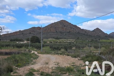 Сasa en venta en Jumilla, Murcia, España 6 dormitorios, 350 m2 No. 172823 - foto 16
