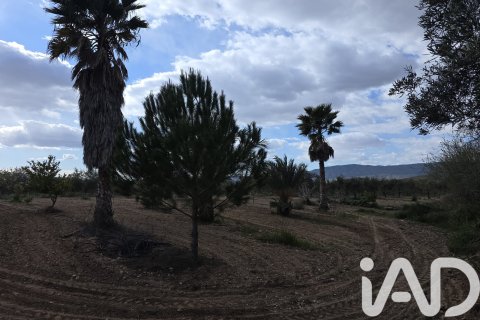 Сasa en venta en Jumilla, Murcia, España 6 dormitorios, 350 m2 No. 172823 - foto 20