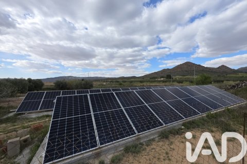 Сasa en venta en Jumilla, Murcia, España 6 dormitorios, 350 m2 No. 172823 - foto 18