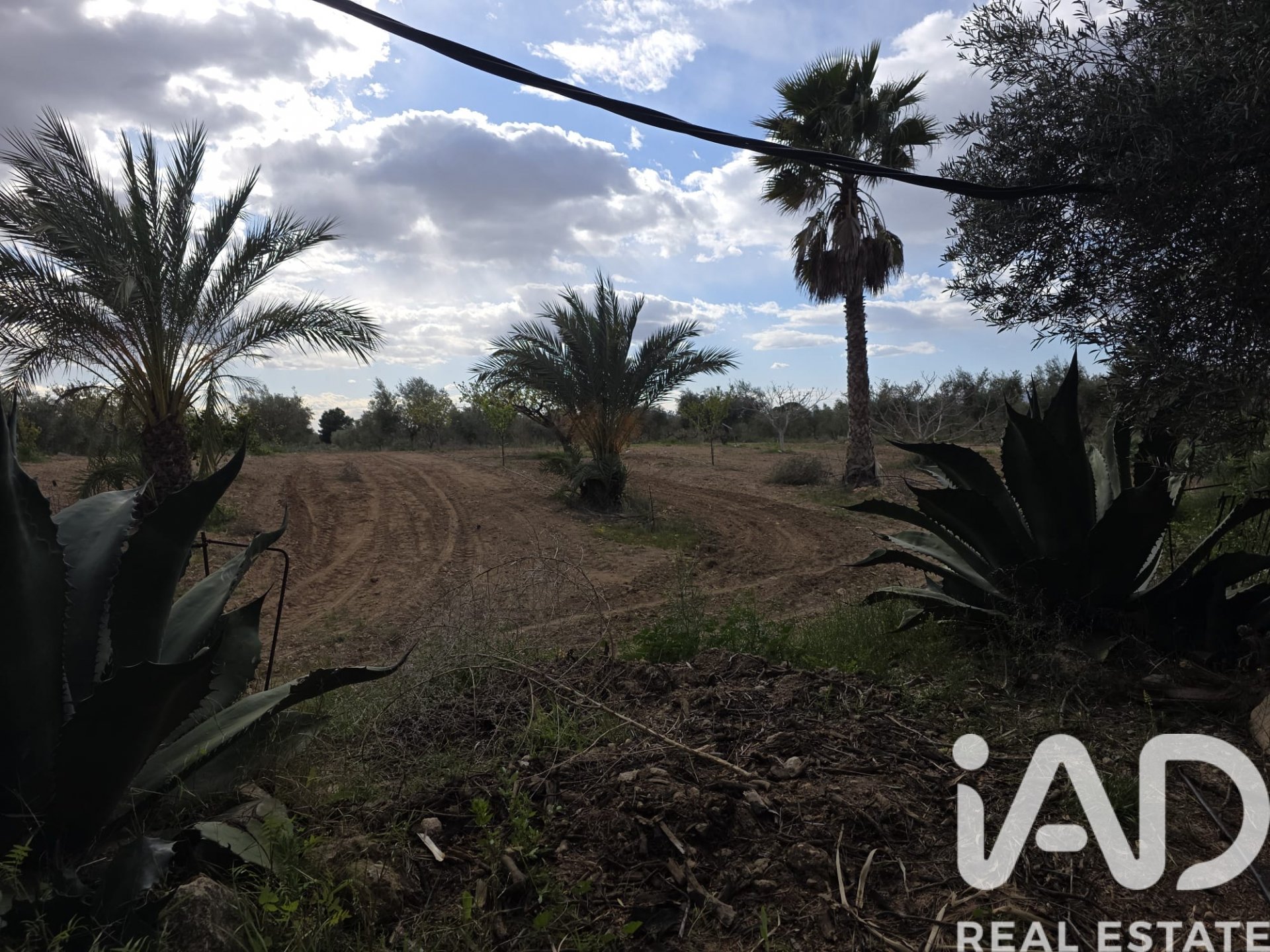 Сasa en Jumilla, Murcia, España 6 dormitorios, 350 m2 No. 172823