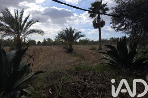 Сasa en venta en Jumilla, Murcia, España 6 dormitorios, 350 m2 No. 172823 - foto 21
