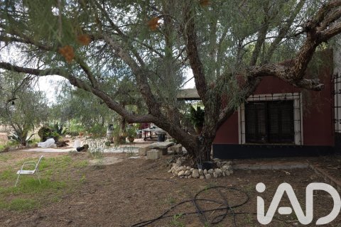 Сasa en venta en Jumilla, Murcia, España 6 dormitorios, 350 m2 No. 172823 - foto 22
