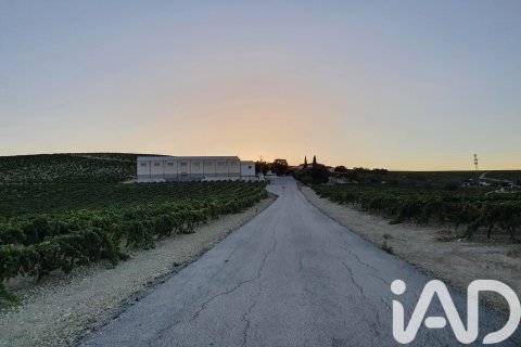 Lokal usługowy w Jerez de la Frontera, Cadiz, Hiszpania nr 172825 – zdjęcie 24