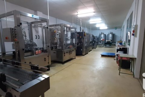 Lokal usługowy w Jerez de la Frontera, Cadiz, Hiszpania nr 172825 – zdjęcie 17