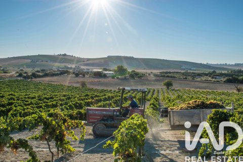 Lokal usługowy w Jerez de la Frontera, Cadiz, Hiszpania nr 172825 – zdjęcie 21