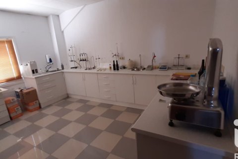 Lokal usługowy w Jerez de la Frontera, Cadiz, Hiszpania nr 172825 – zdjęcie 6