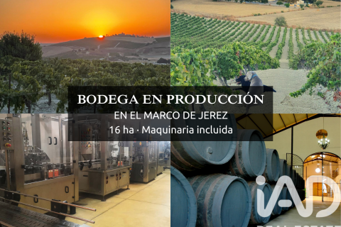 Lokal usługowy w Jerez de la Frontera, Cadiz, Hiszpania nr 172825