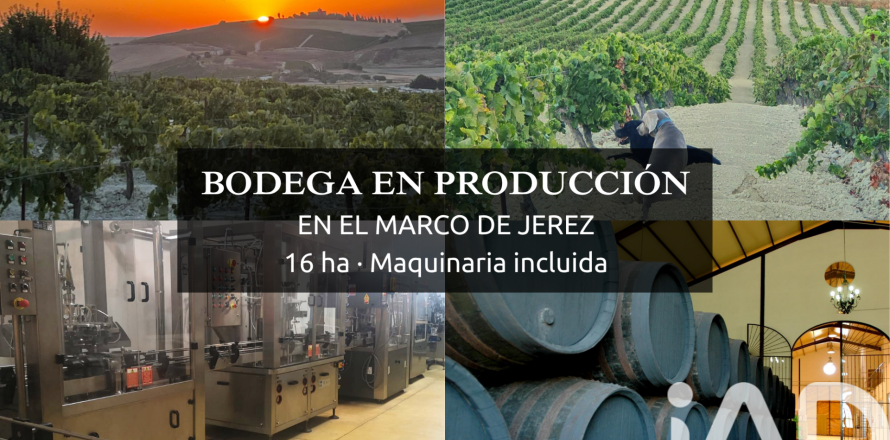 Lokal usługowy w Jerez de la Frontera, Cadiz, Hiszpania nr 172825
