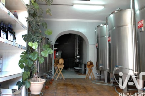 Lokal usługowy w Jerez de la Frontera, Cadiz, Hiszpania nr 172825 – zdjęcie 3