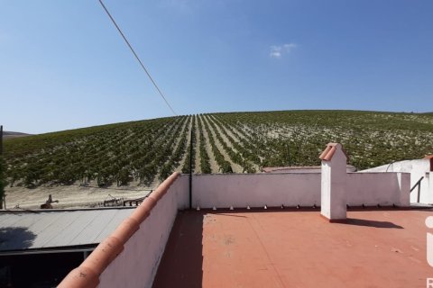 Lokal usługowy w Jerez de la Frontera, Cadiz, Hiszpania nr 172825 – zdjęcie 11