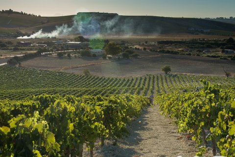 Lokal usługowy w Jerez de la Frontera, Cadiz, Hiszpania nr 172825 – zdjęcie 27