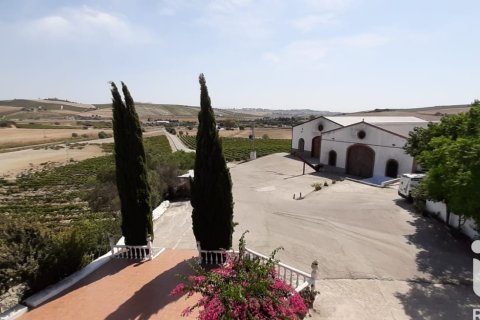 Lokal usługowy w Jerez de la Frontera, Cadiz, Hiszpania nr 172825 – zdjęcie 12