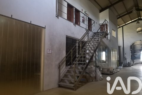 Lokal usługowy w Jerez de la Frontera, Cadiz, Hiszpania nr 172825 – zdjęcie 16