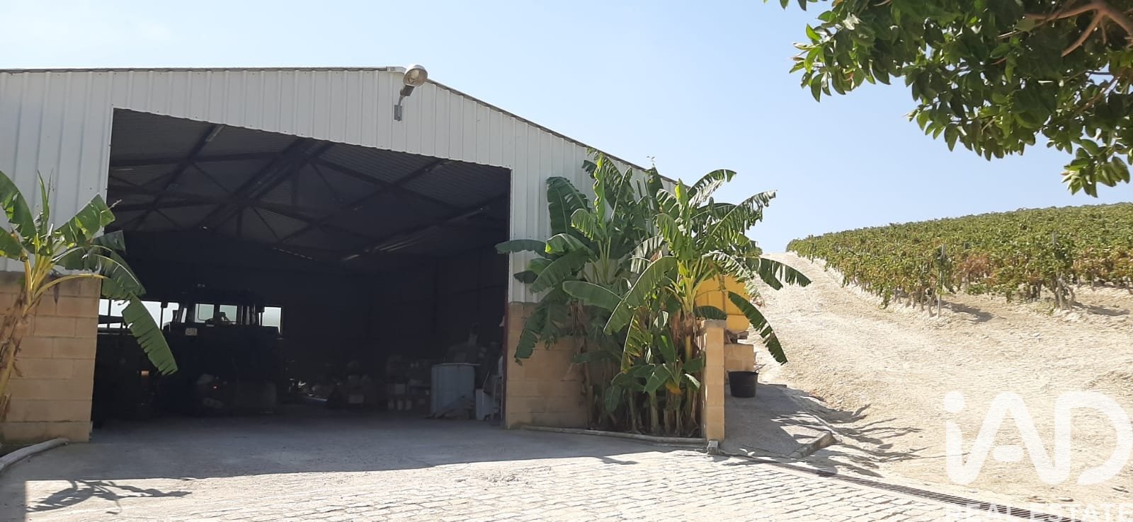 Propiedad comercial en Jerez de la Frontera, Cádiz, España No. 172825