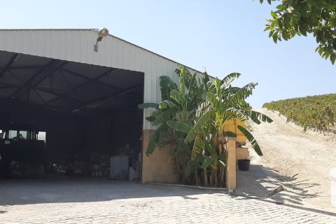 Lokal usługowy w Jerez de la Frontera, Cadiz, Hiszpania nr 172825 – zdjęcie 14