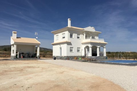 Villa till salu i Pinoso, Alicante, Spanien 4 sovrum, 150 kvm. Nr. 170574 - foto 3