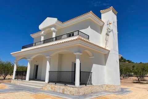 Villa en venta en Pinoso, Alicante, España 4 dormitorios, 163 m2 No. 170573 - foto 9