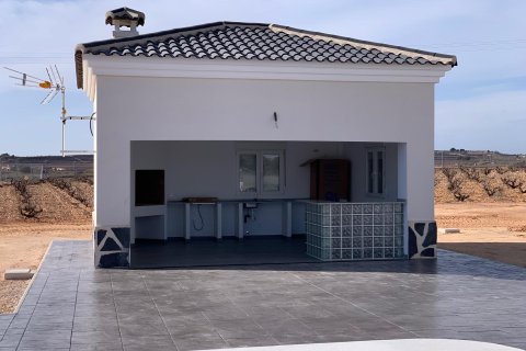 Villa en venta en Pinoso, Alicante, España 4 dormitorios, 163 m2 No. 170573 - foto 5