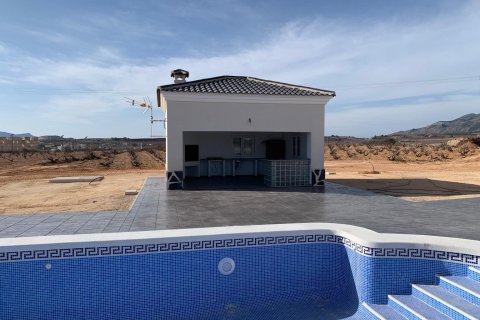 Villa en venta en Pinoso, Alicante, España 4 dormitorios, 163 m2 No. 170573 - foto 4