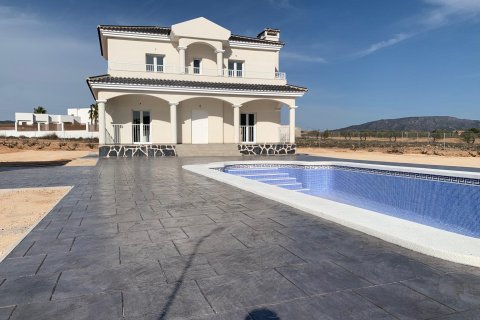 Villa en venta en Pinoso, Alicante, España 4 dormitorios, 163 m2 No. 170573 - foto 6