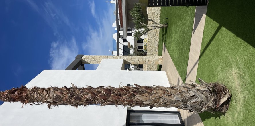 House in Torrevieja, Alicante, Spain 3 bedrooms, 86.65 sq.m. No. 175929